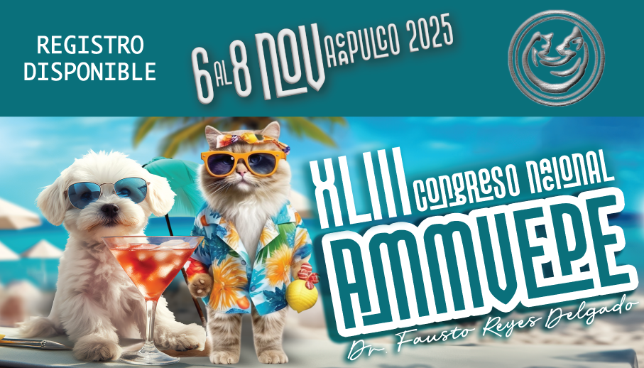 Congreso