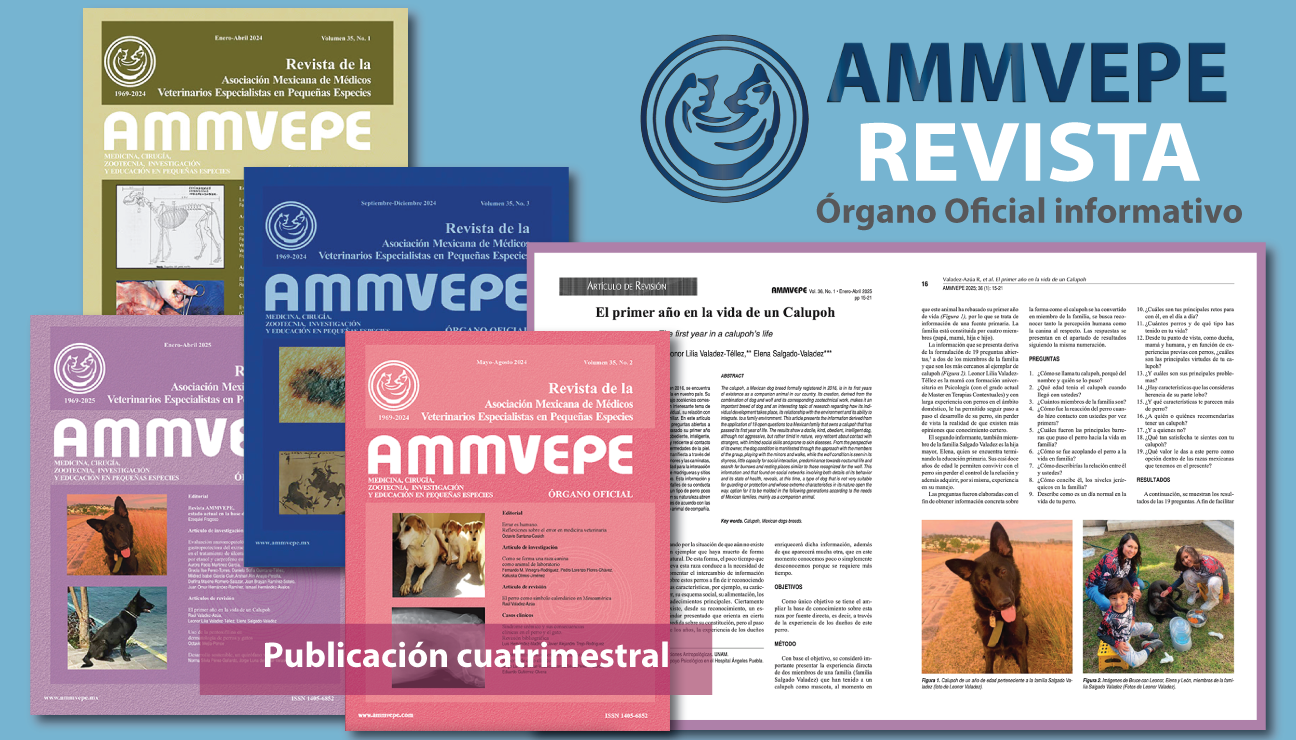 Revista